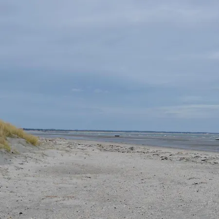 Elvervej Xi 度假居 Ålbæk