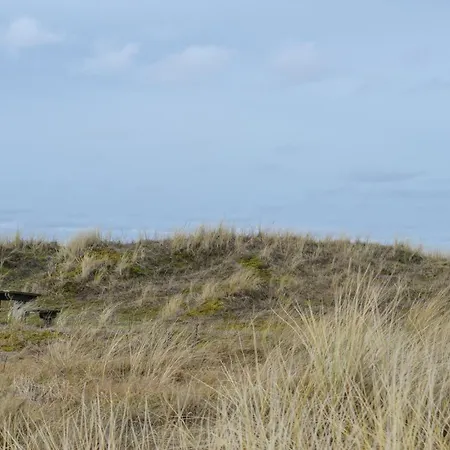 度假居 Elvervej Xi